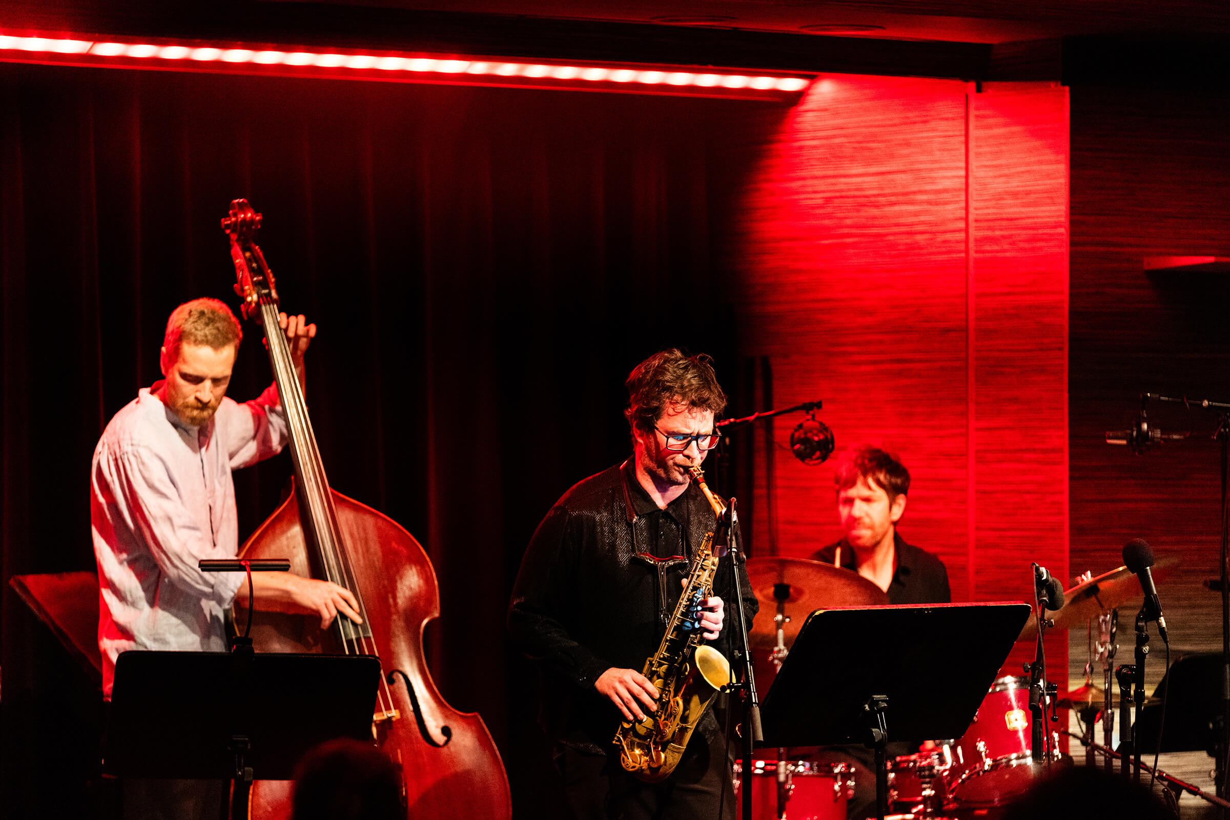 David Mozetič, Being and Becoming, Cankarjev dom, 2026, Zvončki in trobentice, Klub CD, Marko Alpner