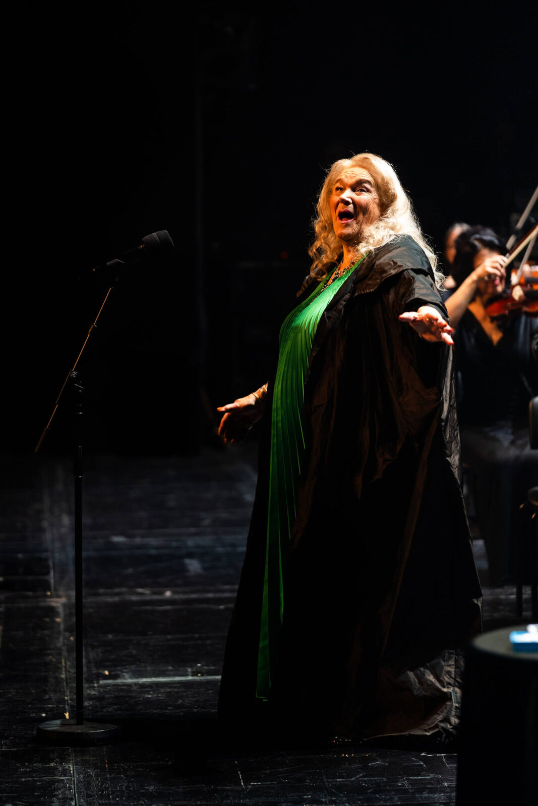 Elda Viler, poslovilni koncert, Cankarjev dom, Simfonični Orkester RTV, Big Band, Foto Marko Alpner