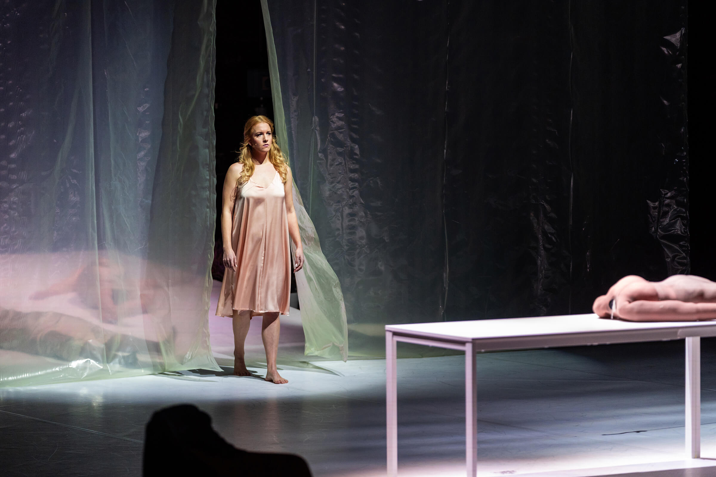 Platno, opera, Nina Šenk, Cankarjev dom, Photo Marko Alpner