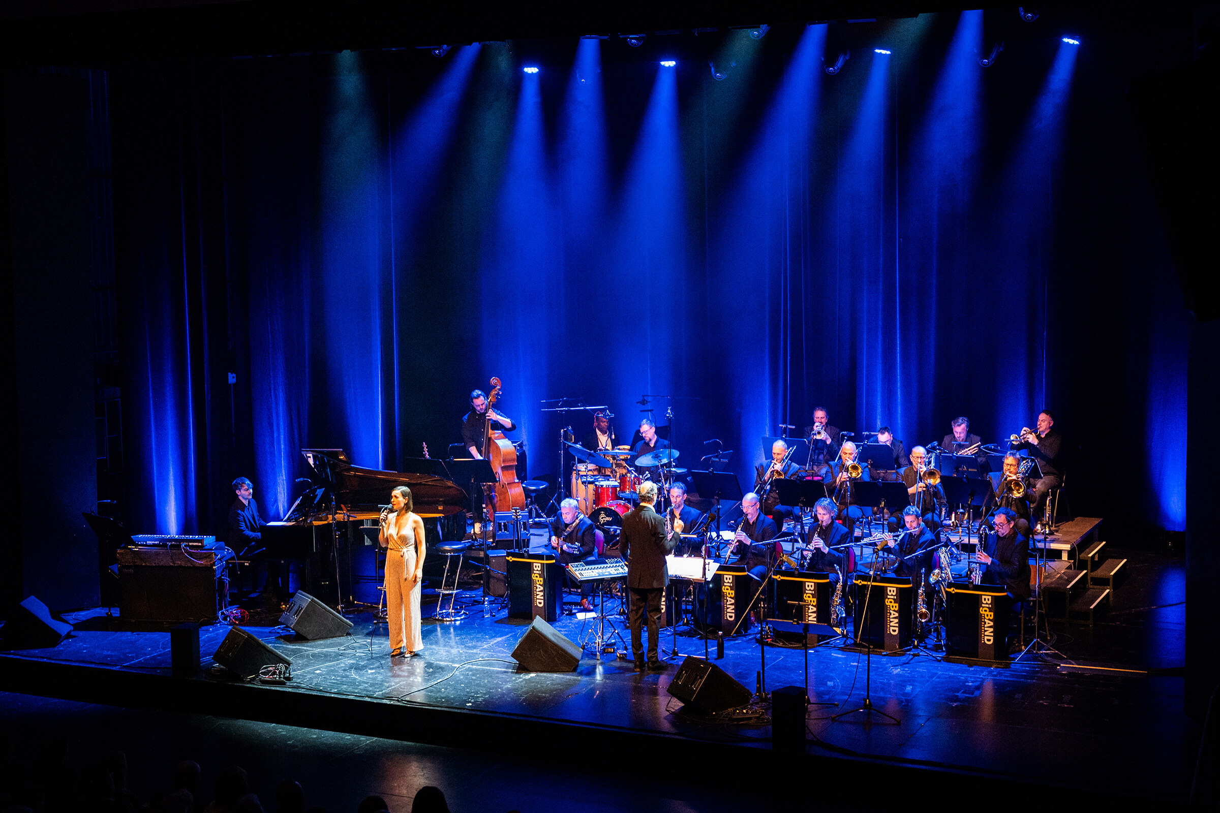 Nina Strnad with the Big Band RTV, Hvala, Lojze Krajnčan, Cankarjev dom, Photo Marko Alpner