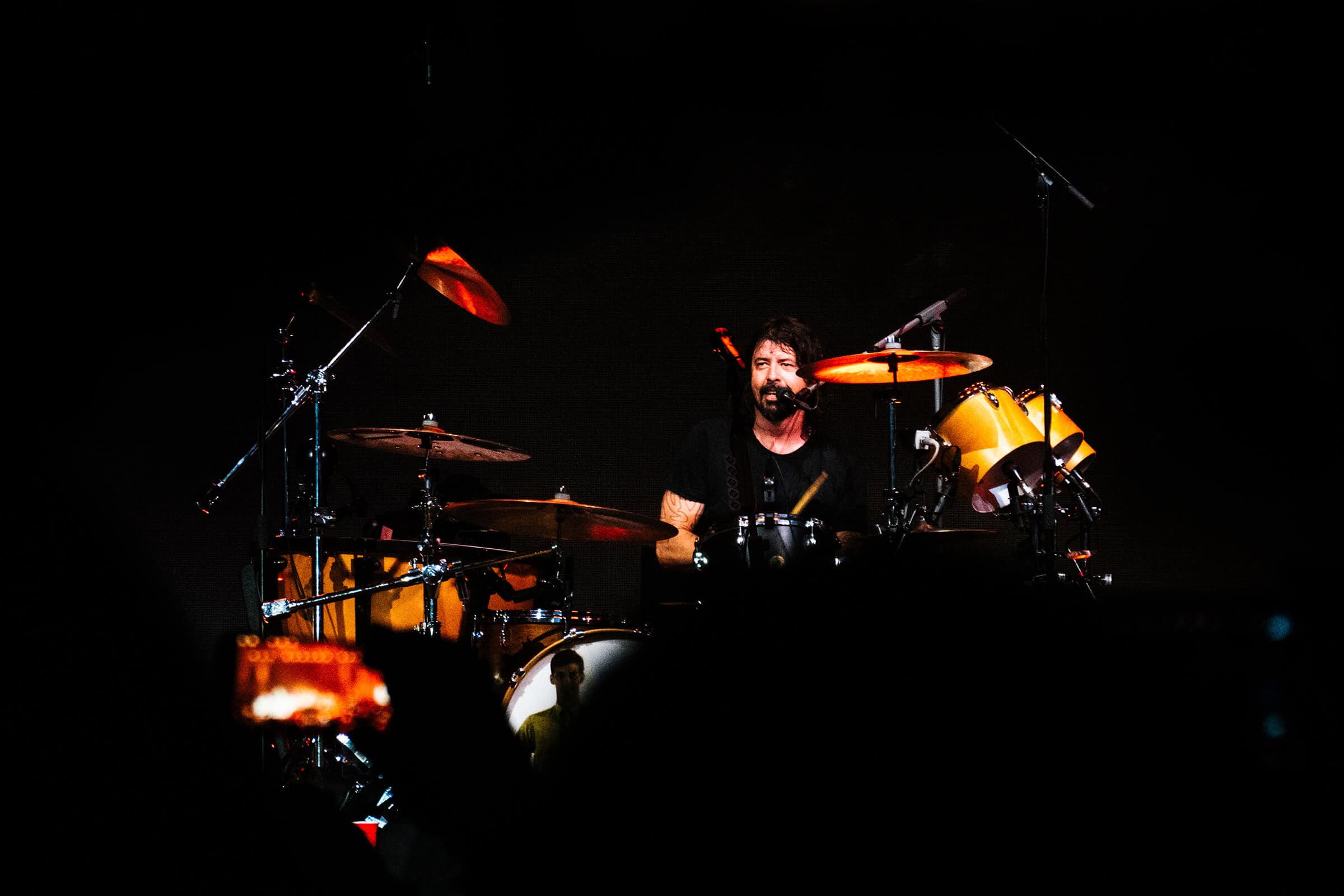 Dave Grohl, Foo Fighters, Pula, Croatia, Marko Alpner