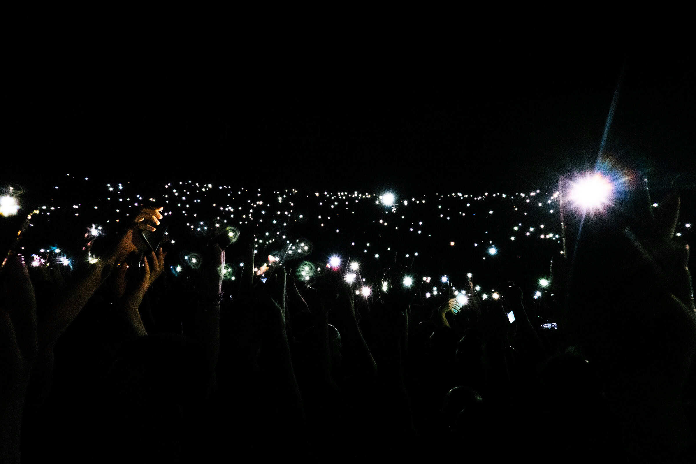 Foo Fighters, Pula, Croatia, Marko Alpner