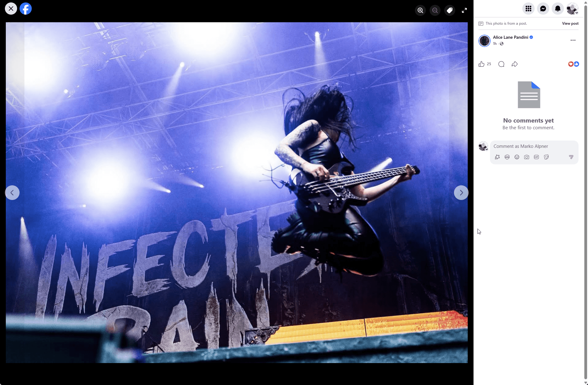Alice Lane Pandini, cropping out watermark, stealing photos, Infected Rain
